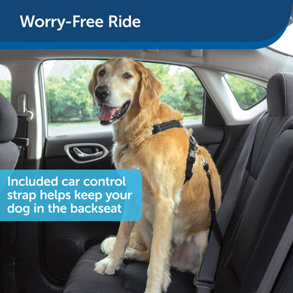 Pet Safe Easy Walk Harness (Small, Black) Easy Walk Harness