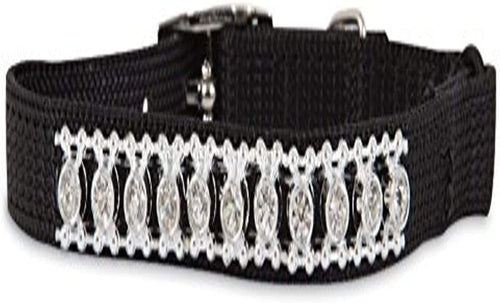 Petmate Aspen Pet Jewel Custom Fit Cat Collar 3/8inc x 8-10inc Black