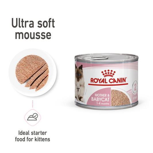 Royal Canin Feline Health Nutrition Mother & Babycat Mousse (WET FOOD - Cans) 195g