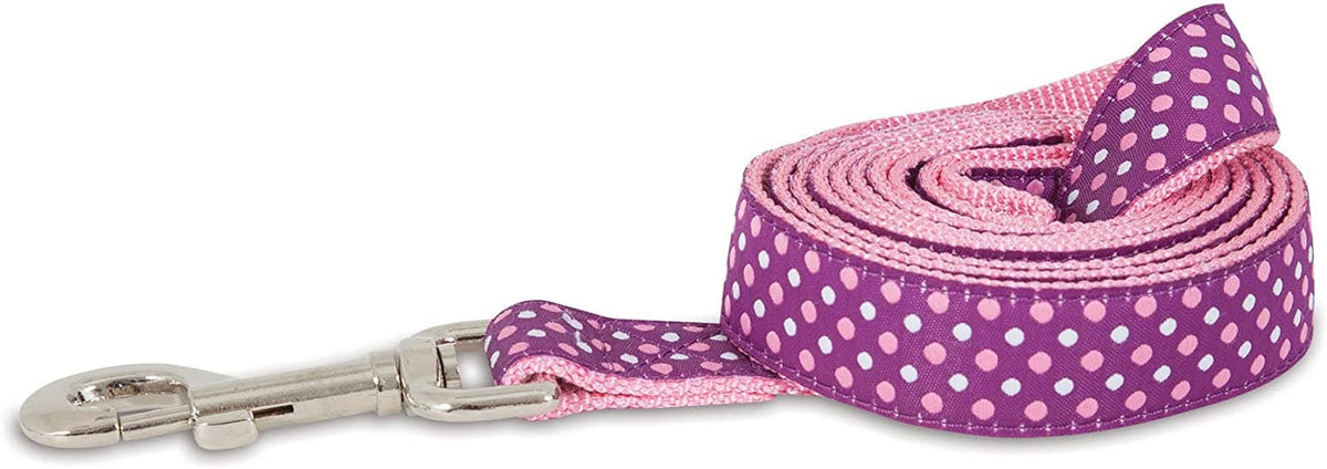 Aspen Pet Ribbon Overlay Dog Leash 1 x6 Dots Pink