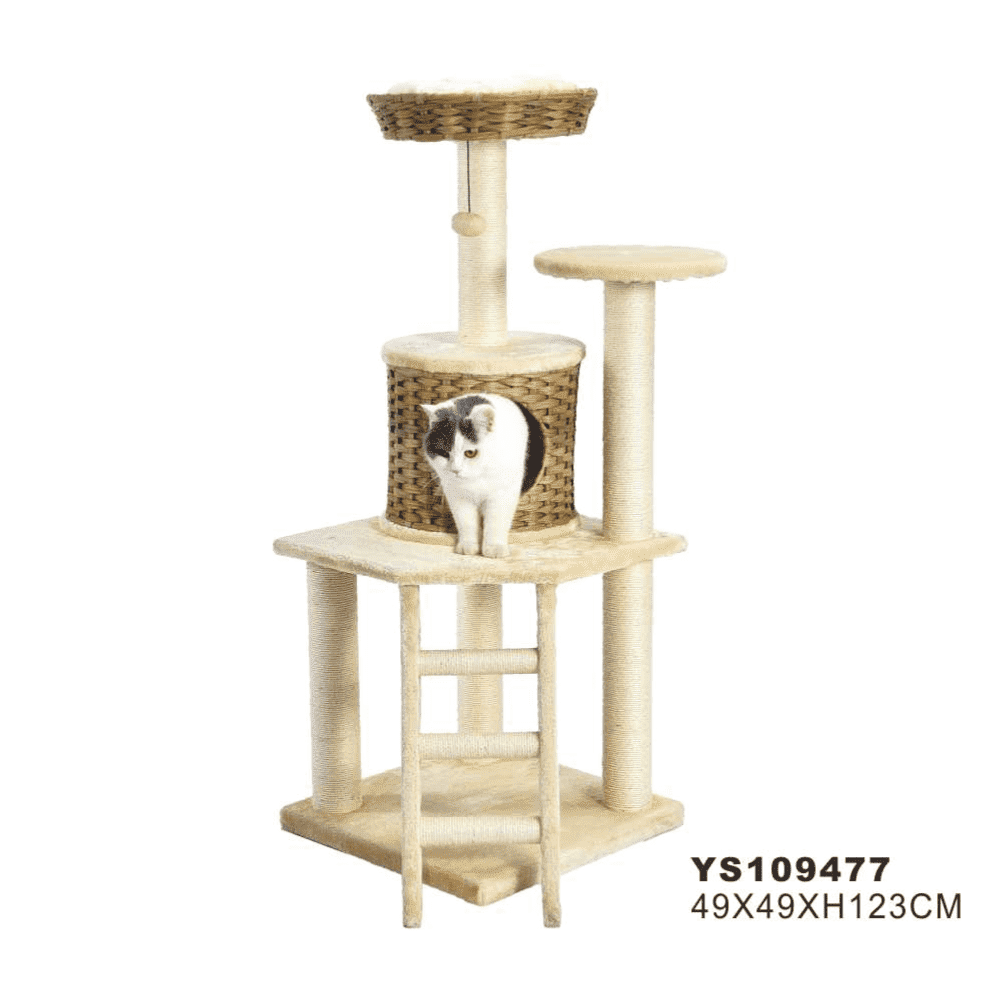 Nutrapet The Brawn L49xw49xh123 Cms