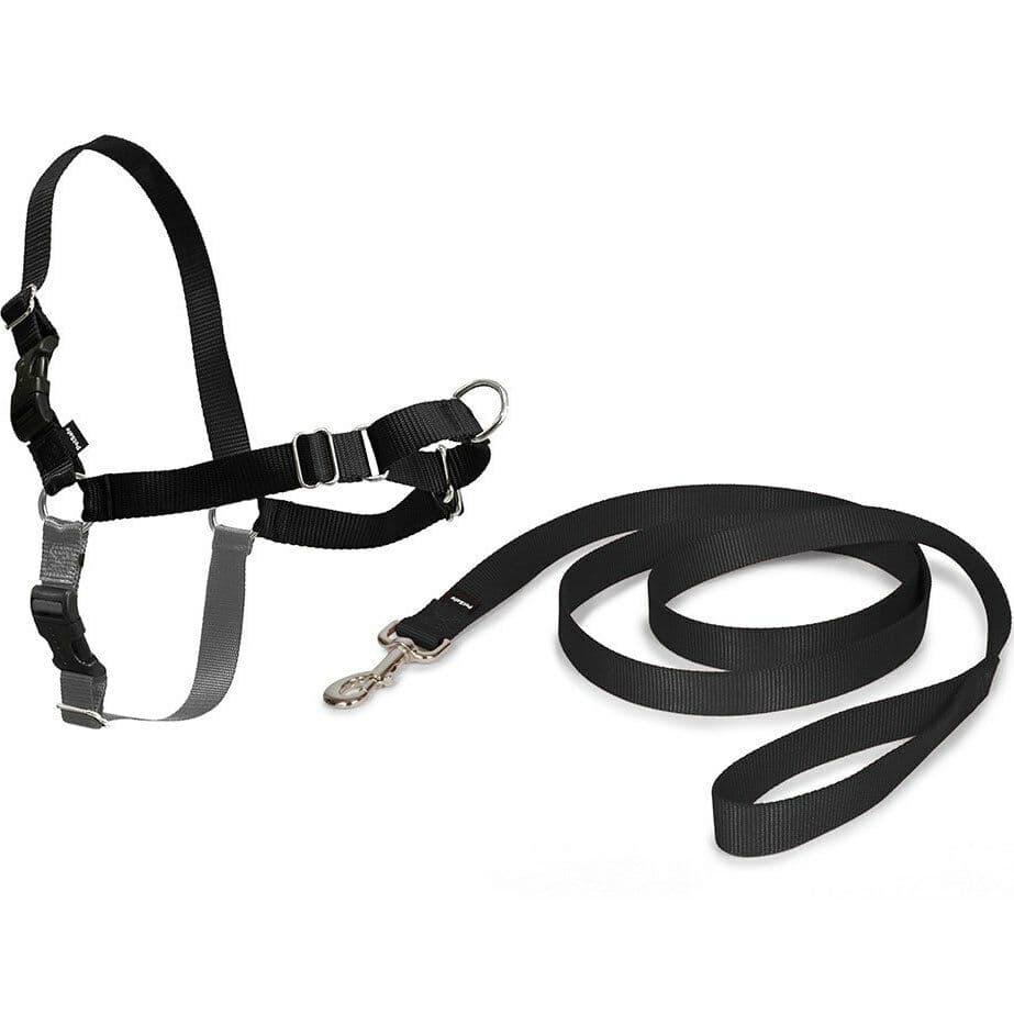 PetSafe Easy Walk Dog Harness Extra Large Black – No-Pull Front-Clip Harness for Large Dogs UAE