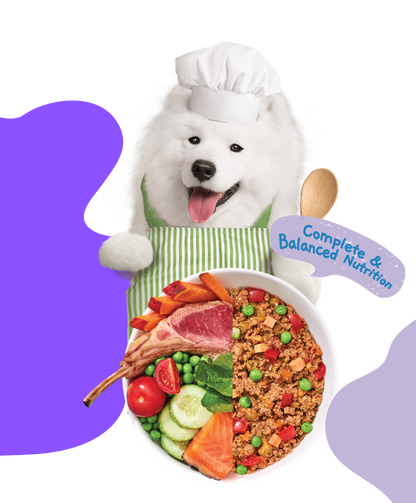 Moochie Home Cooked Dog Food - Joint and Bone - Lamb, Sweet Potato & Spinach Recipe 255g