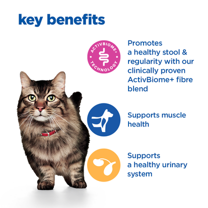 Hill's Vet Essentials Multi-Benefit + Digestion Adult Cat Dry Food With Salmon