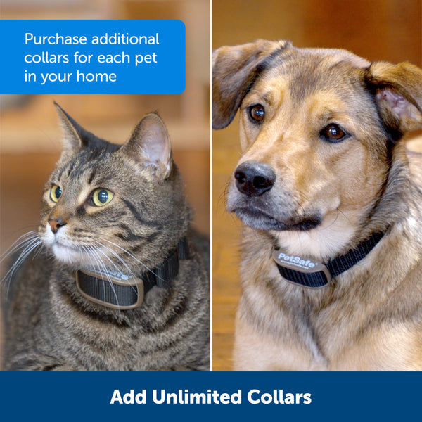 Pet Safe Pet Pawz AwayThreshold Barrier