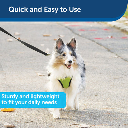 Petmate Nylon Dog Leash 1in x6in Black