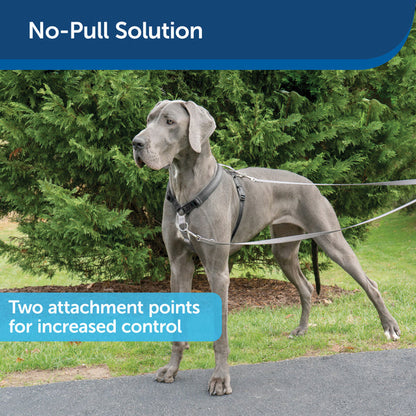 PetSafe Easy Walk Dog Harness Extra Large Black – No-Pull Front-Clip Harness for Large Dogs UAE