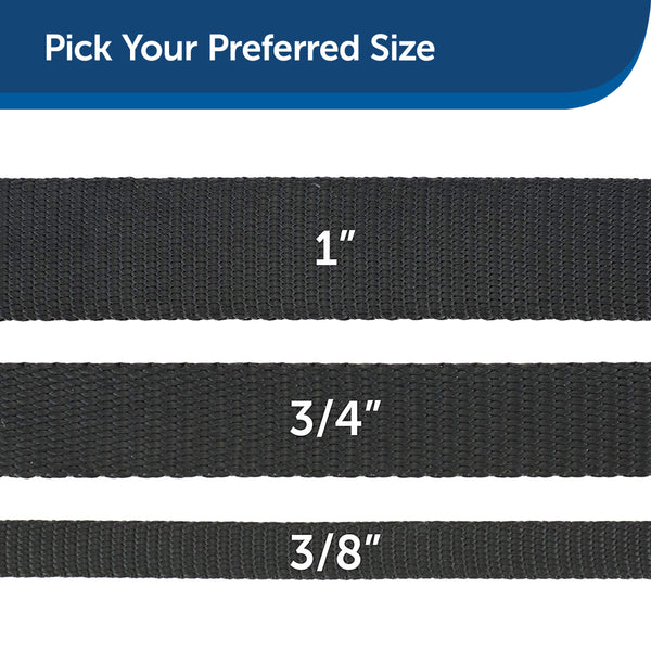 Petmate Nylon Dog Leash 1in x6in Black