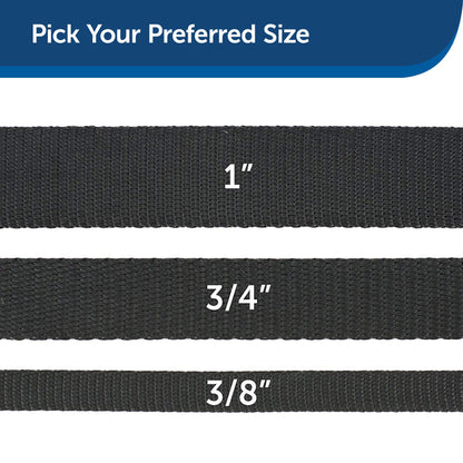 Petmate Nylon Dog Leash 1in x6in Black