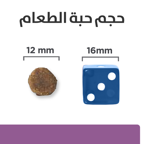 Hill's Prescription Diet b/d Dog Food 3kg